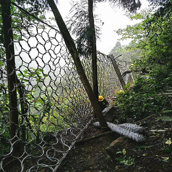 1617850016224090.jpg RXI075_副本.jpg