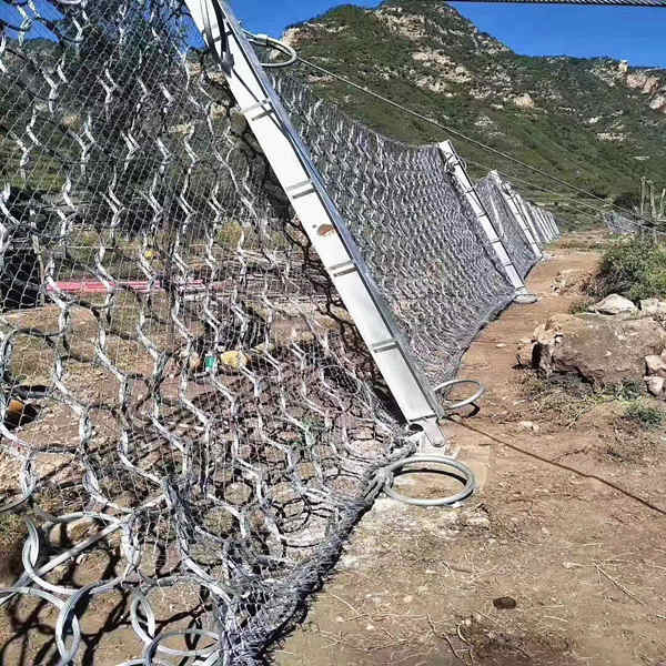 1617850037269150.jpg 微信图片_202012071605209_副本.jpg