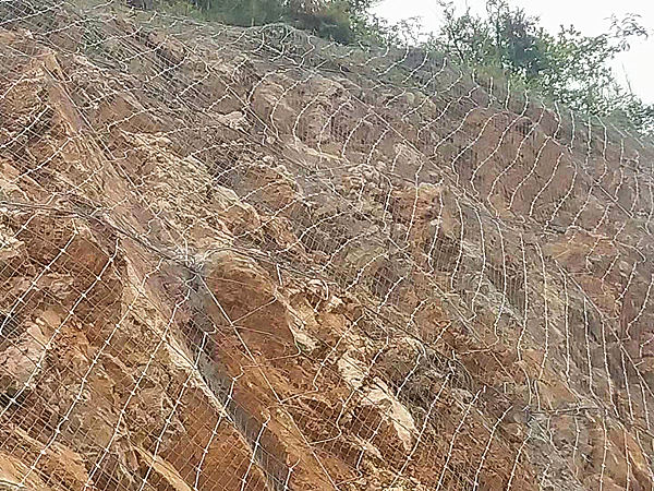 1619405268446625.jpg 微信图片_202103311204594_副本.jpg